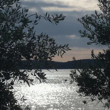 Apartment Burle Vista Medulin