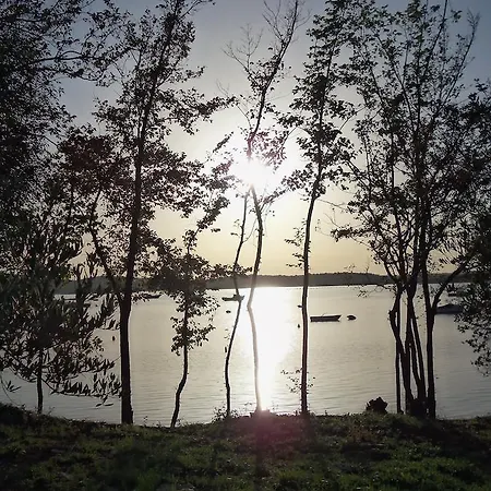 Apartment Burle Vista